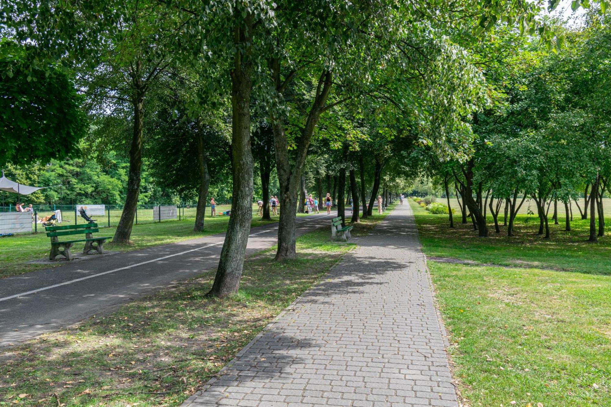 Appartamento Oasis Trzy Stawy - Free Parking - Self Check-In Katowice Esterno foto